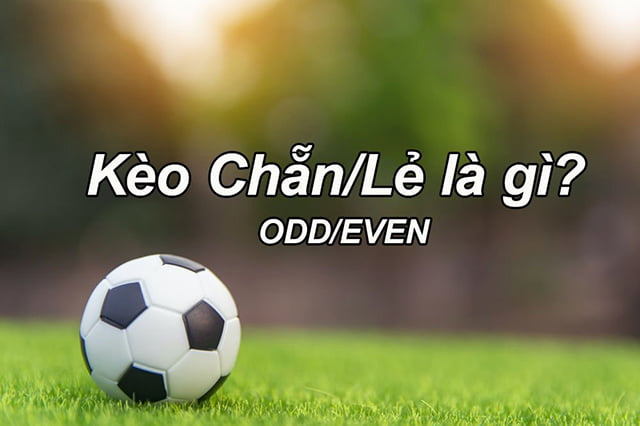 Những ưu điểm vượt trội của các sự kiện cấp độ Sodo đã thu hút rất nhiều người đặt cược - Sodo
