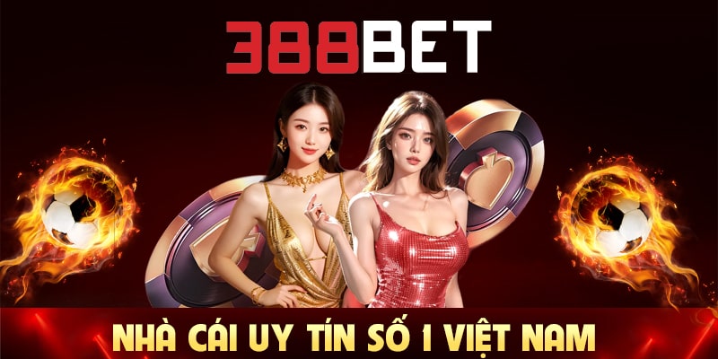 Tại sao khách hàng tin tưởng Mibet? - Mibet