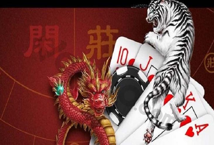 Tại sao bạn nên chọn Dafabet làm phương tiện giải trí của mình? - Dafabet
