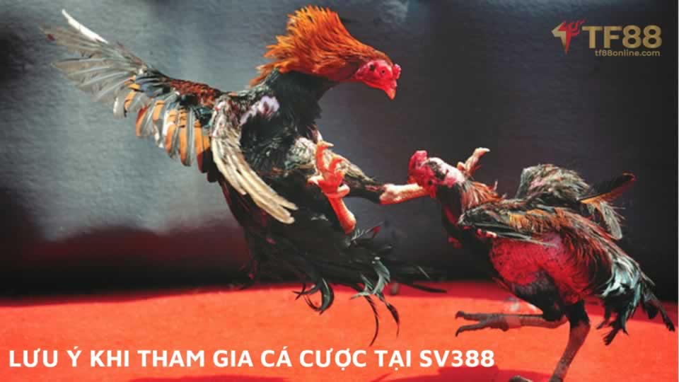 Đánh giá phiên bản game 97Win - 97Win