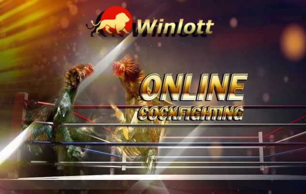 Tổng quan về hệ thống trò chơi cấp độ Bwin - Bwin