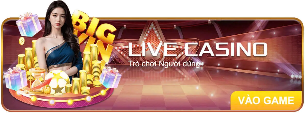 Một số nhận xét và thông tin về Dd7 - Dd7
