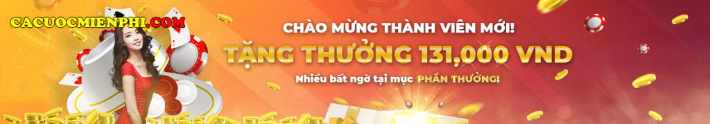 Thống kê về các công ty game 95Vn - 95Vn