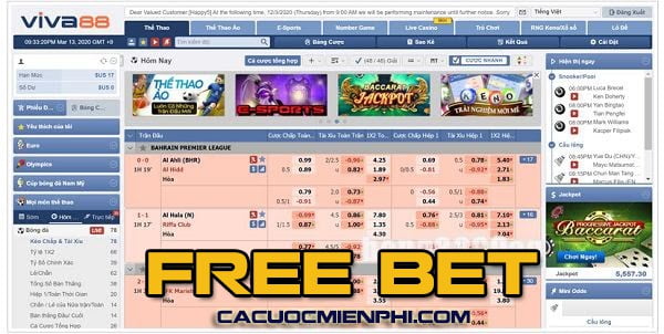 Đấu trường đá gà trực tuyến phổ biến nhất của 95Vn - 95Vn