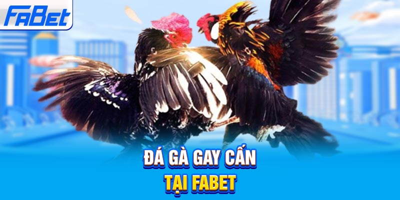 Pg99 Gaming cung cấp các lựa chọn cá cược tốt nhất - Pg99