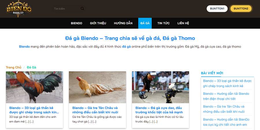 Ho88 cung cấp sảnh chờ trò chơi chất lượng cao nhất - Ho88