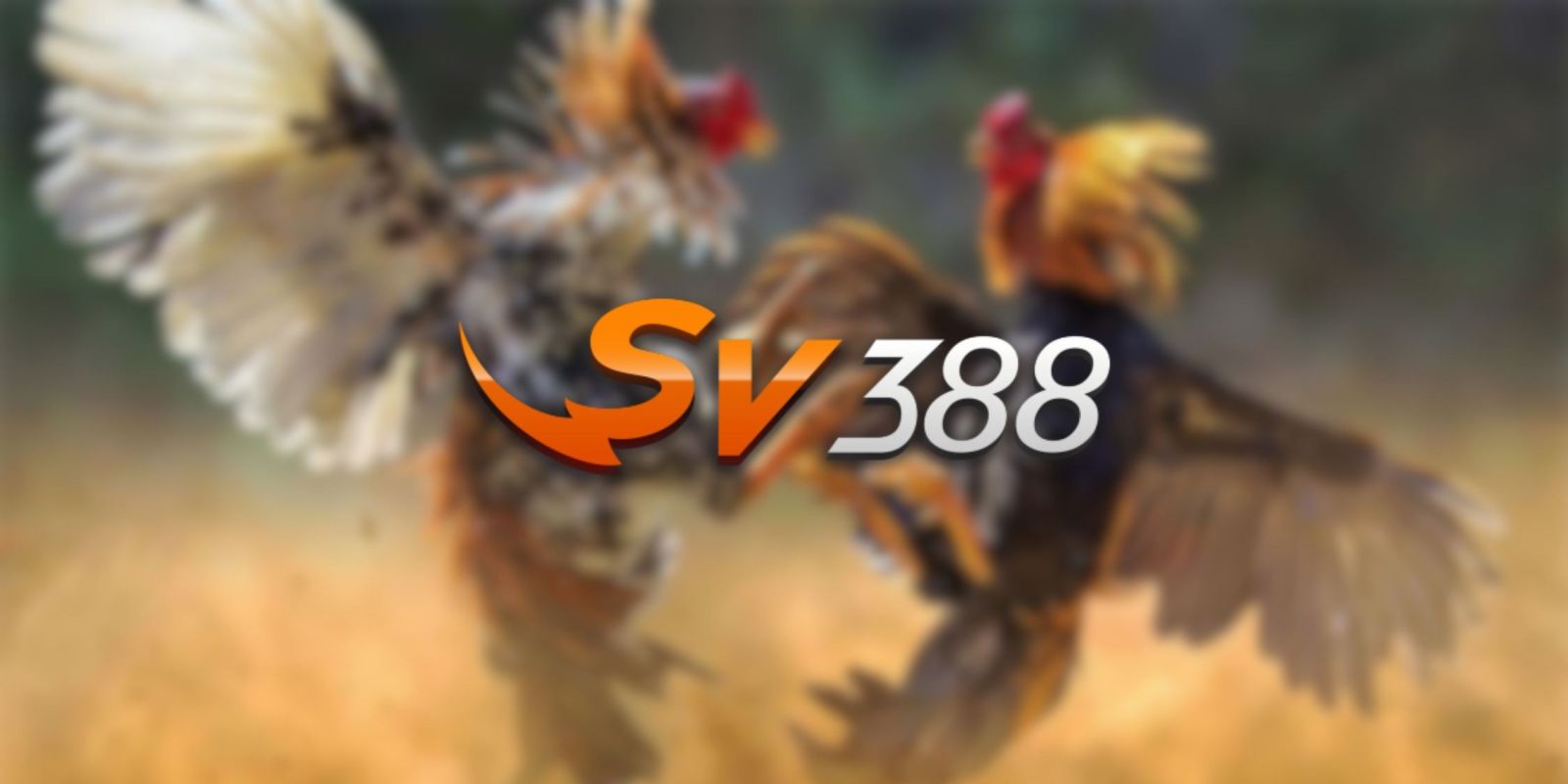 Nền tảng Vipwin cung cấp tiền thưởng chào mừng 100% lên đến 1100 reais - Vipwin