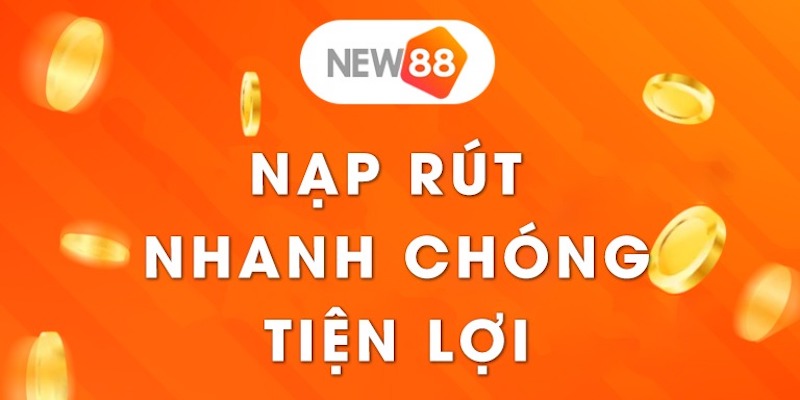 Trong trò chơi baccarat cấp độ Nohu90, người chơi xếp hạng nhất có số lượng người chơi nhiều nhất - Nohu90