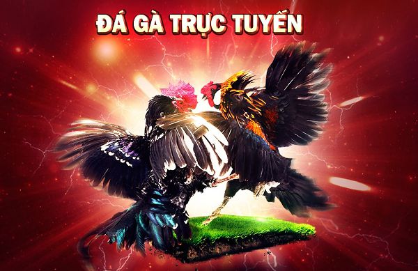Tổng quan về trò chơi thẻ bài Xso99 - Xso99