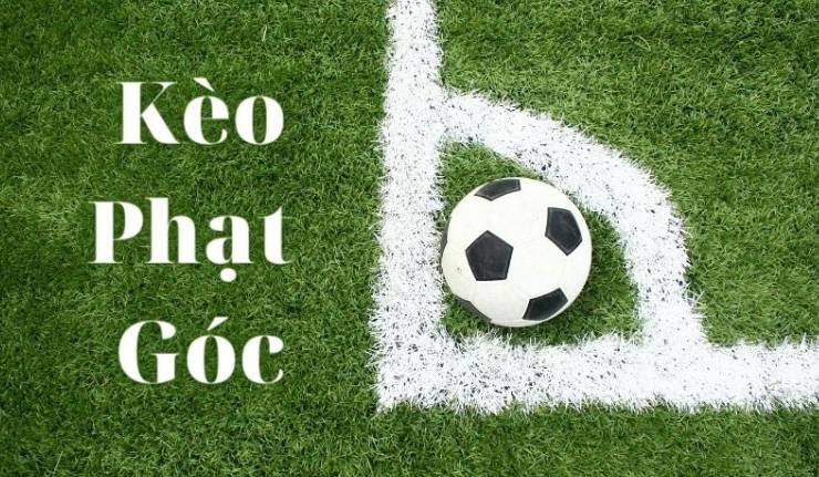 Asia99 tập hợp tất cả các khu cắm trại nổi tiếng và được yêu thích - Asia99