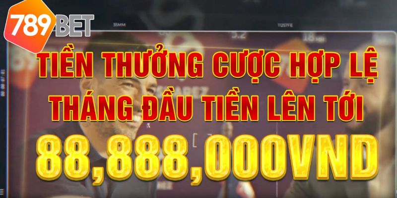 Những địa điểm tổ chức thi đấu phổ biến nào được liệt kê trên trang web của Ev8? - Ev8