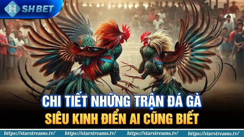 Đăng ký trực tuyến để tận hưởng những ưu đãi cấp độ Tt88 - Tt88